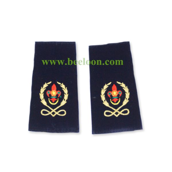 Scout Aplot Pemimpin